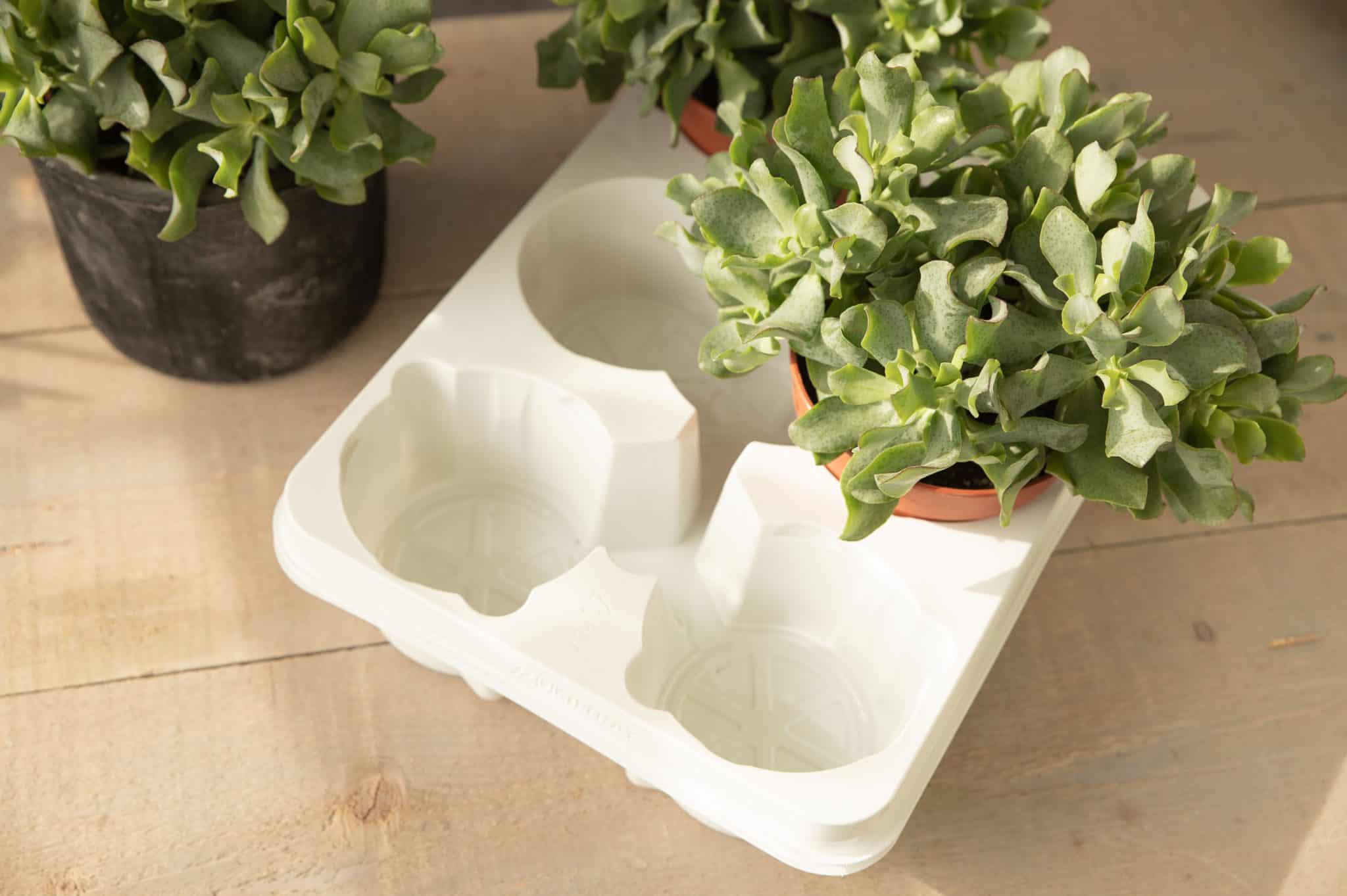 IPM Essen bloemenbeurs