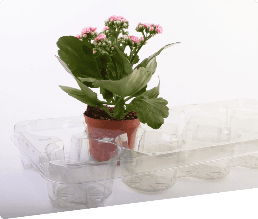Thermoform